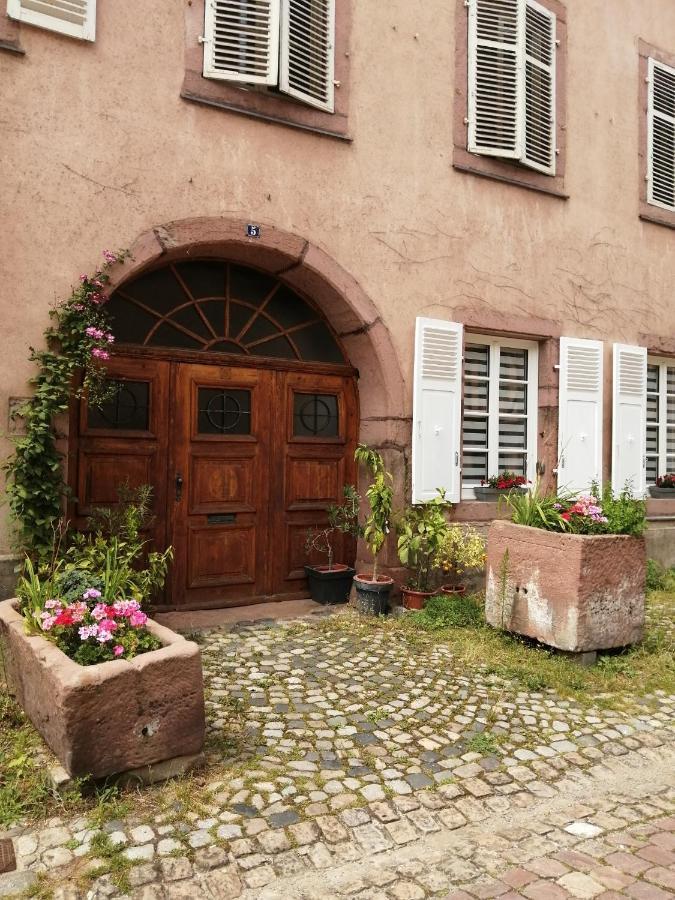 Gite Le Patio كايزرسبرغ المظهر الخارجي الصورة
