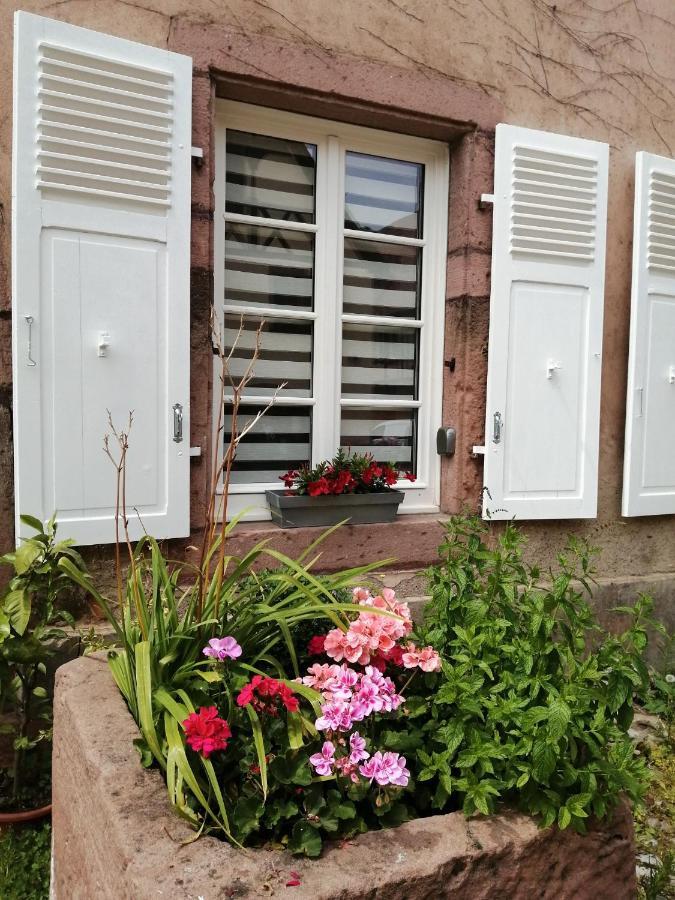 Gite Le Patio كايزرسبرغ المظهر الخارجي الصورة